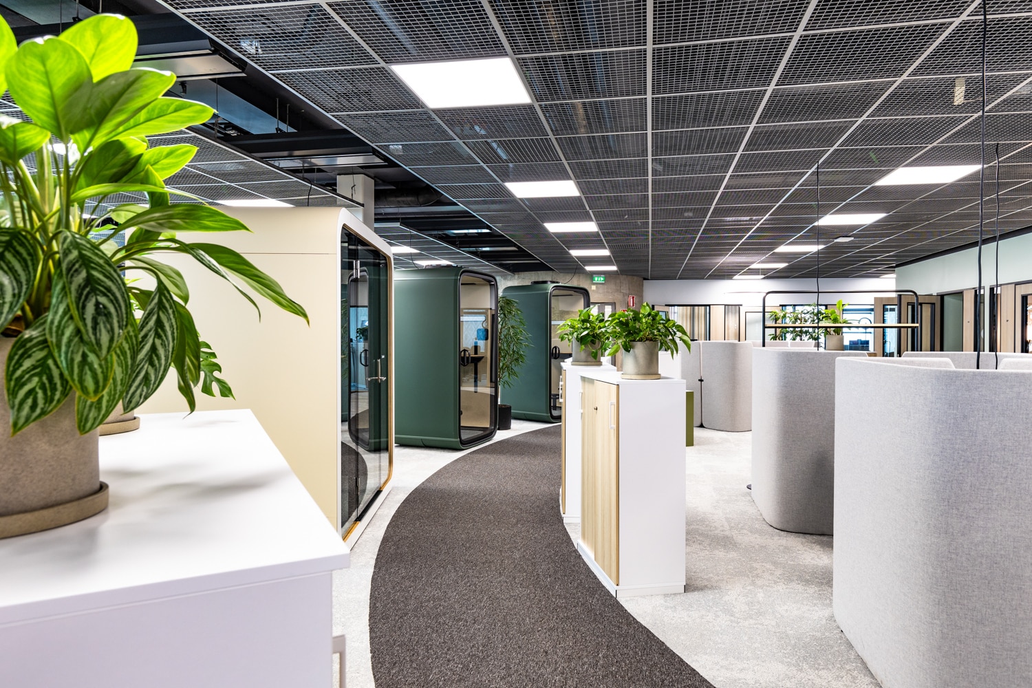 “Ei tällaista paikkaa ole muualla” – vuokraa toimitila keskeltä Helsingin vehreyttä!